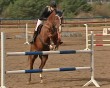 конный-спорт1-1013.jpg