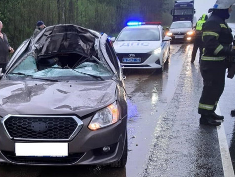 Водитель Datsun сбил лося на дороге в Юхновском районе